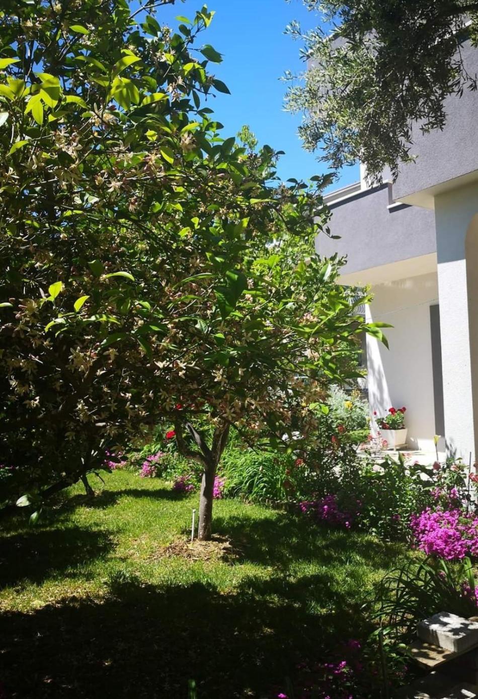 Apartmani Dianna Kaštela Extérieur photo
